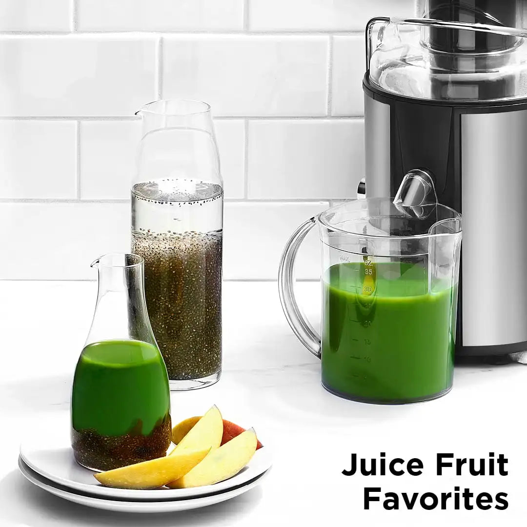 2-Speed Electric Juicer